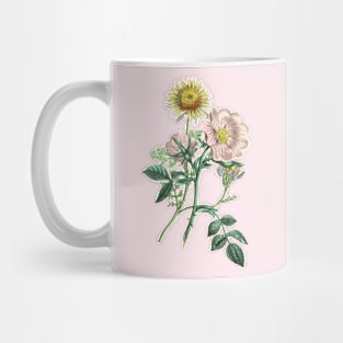 Dog Rose and Chamomile Flower Vintage Botanical Illustration Mug